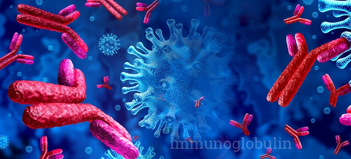 Artistic rendering of Immunoglobulins in a body