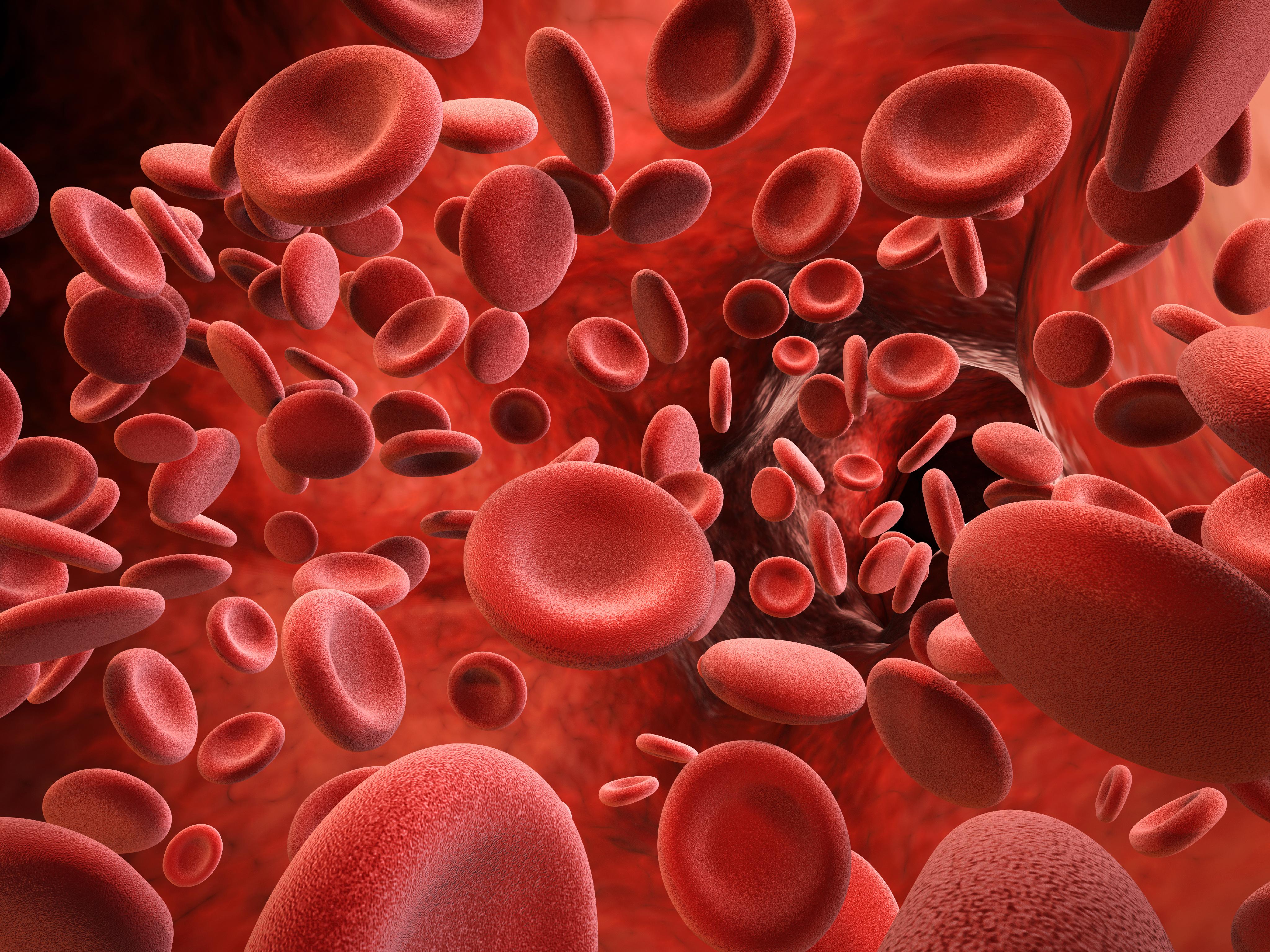 Hemophilia Resources