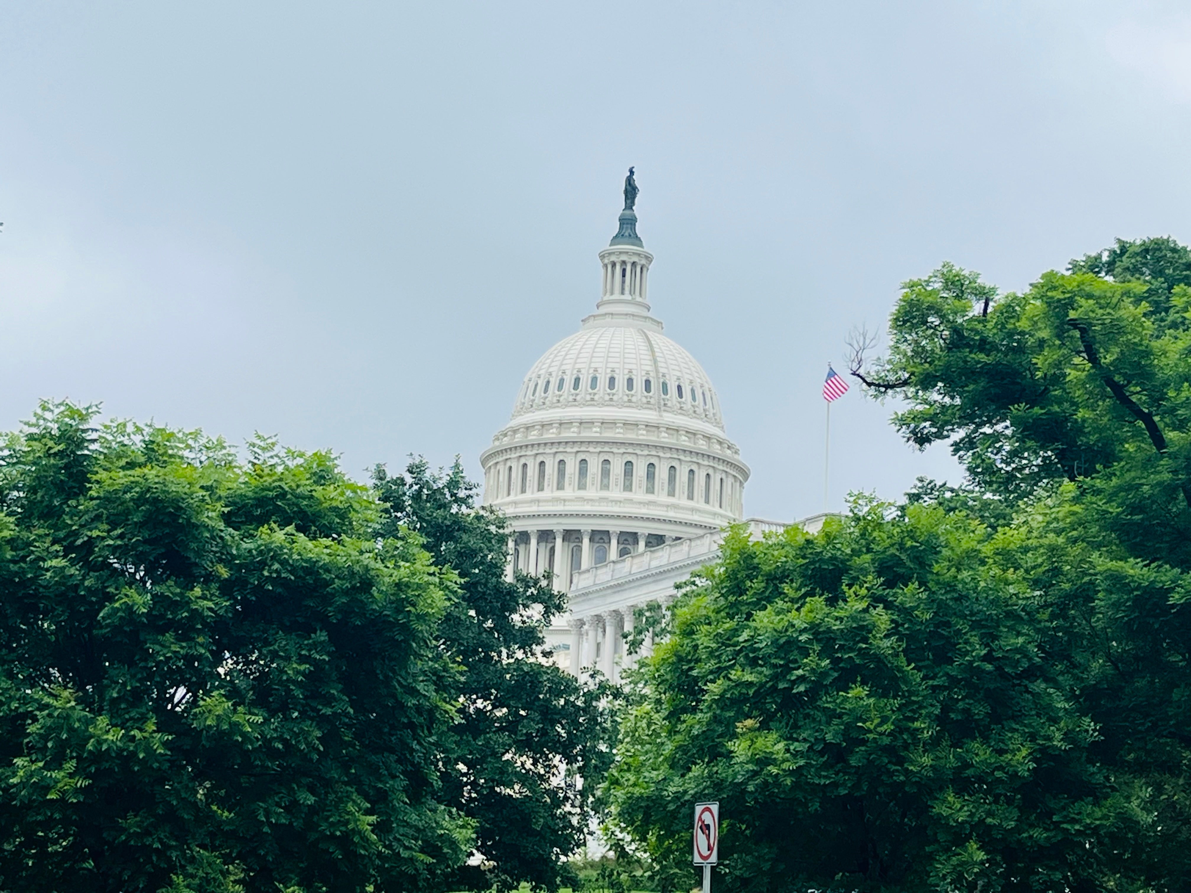 Capitol Behind Trees