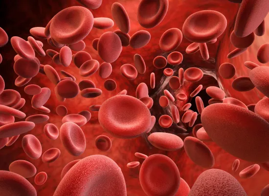 Hemophilia Resources