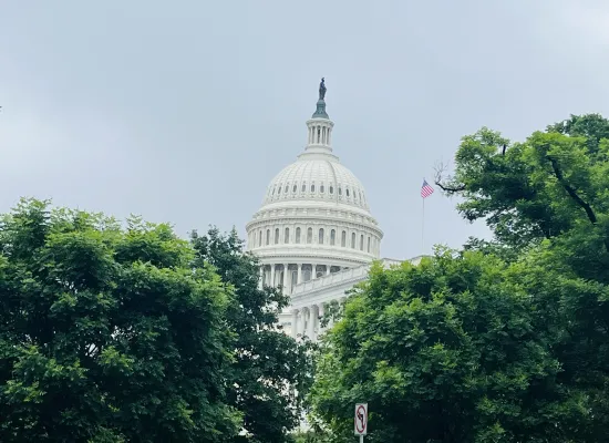 Capitol Behind Trees
