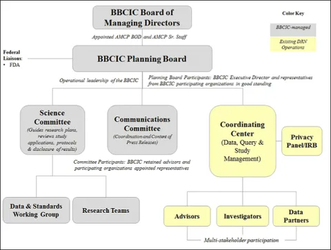 BBCIC Governance